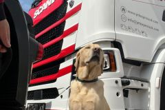 Jet Express Time Critical Logistics - Buddy